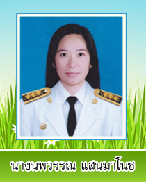 noppawan