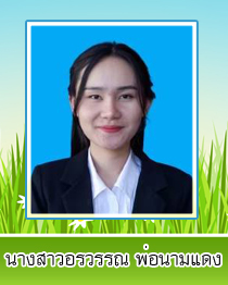 orawan2